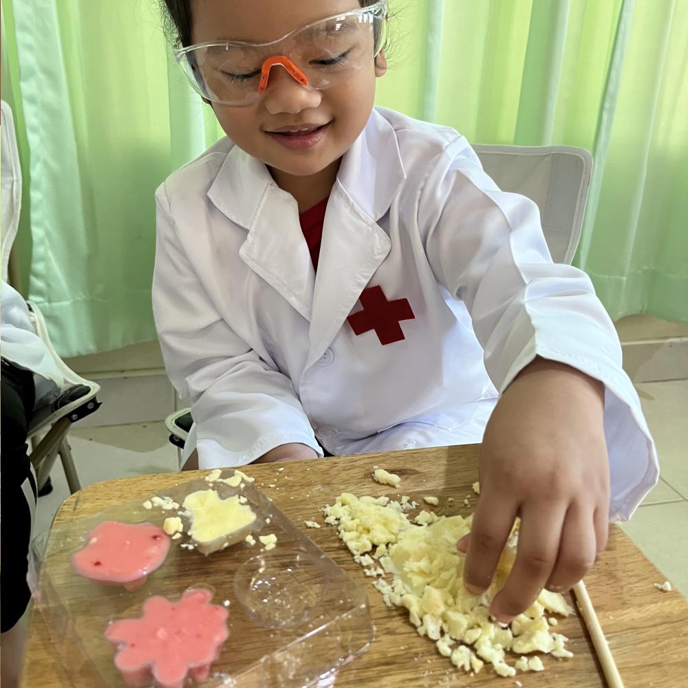 Science Project Kits